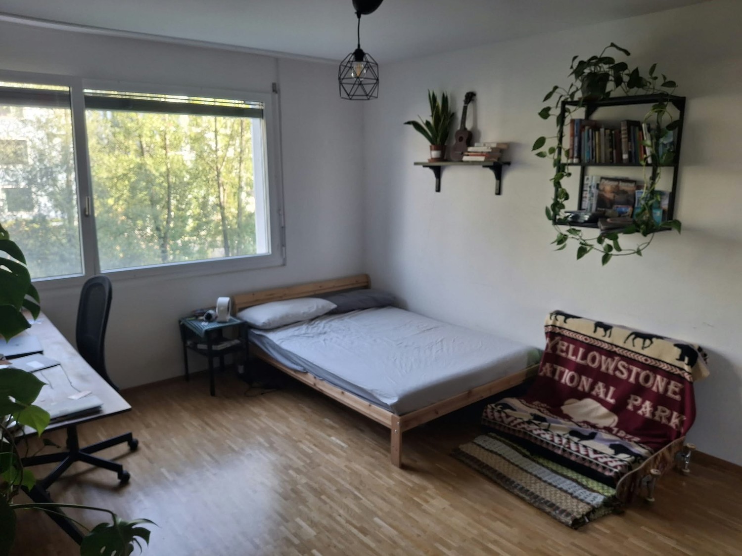 Chambre en colocation, photo 6 sur 7