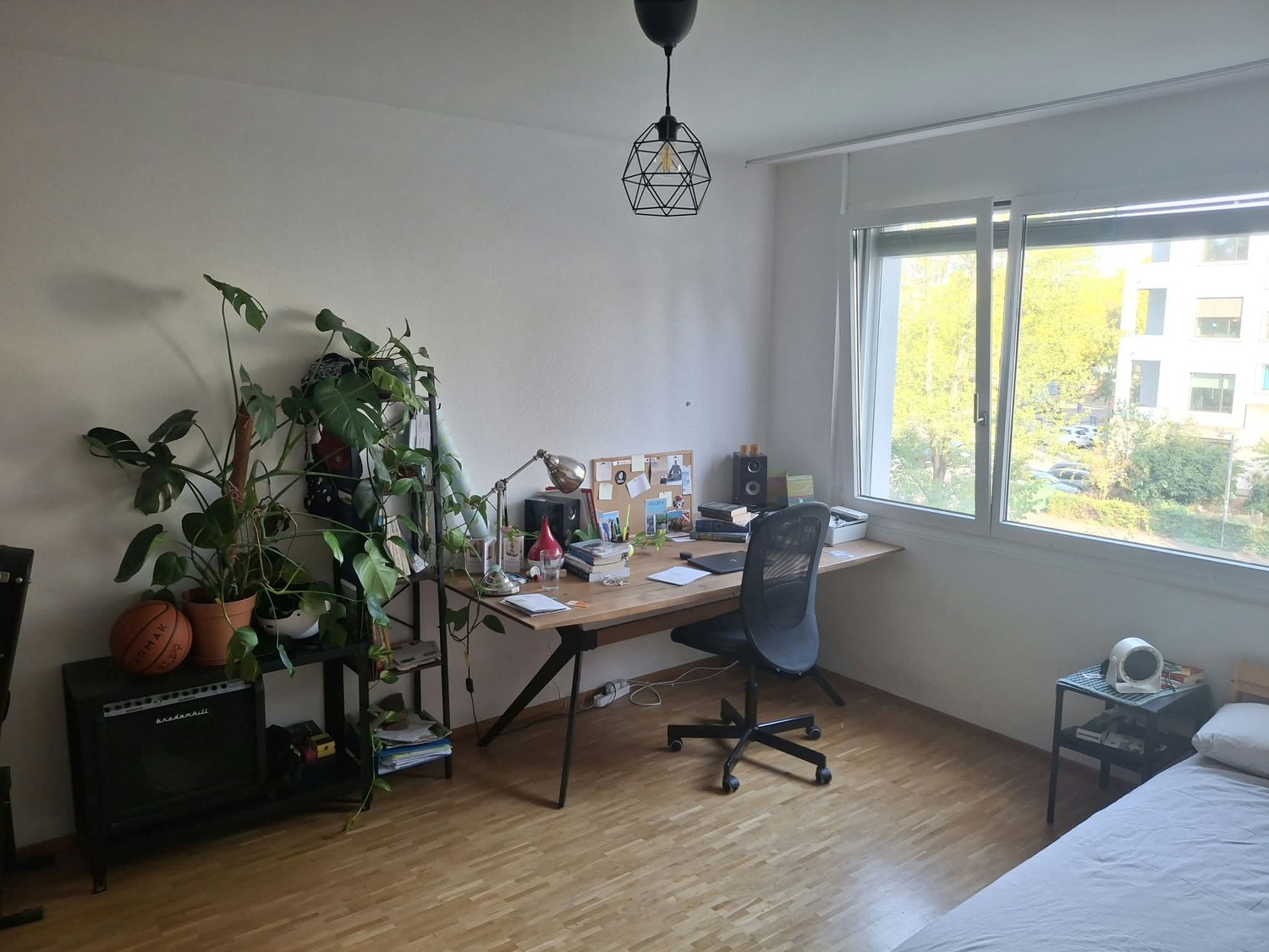 Chambre en colocation, photo 7 sur 7