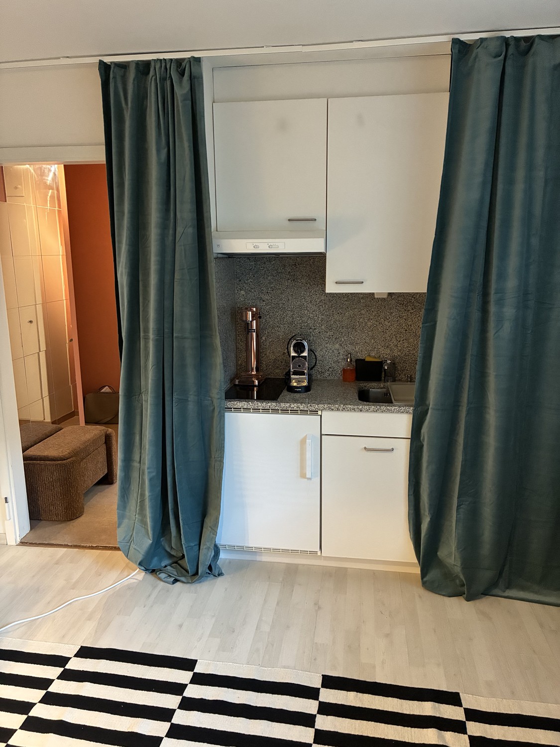 Appartement 1 ½ pièces
