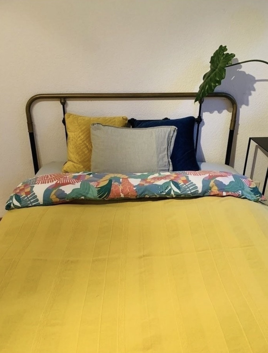 Chambre en colocation, photo 1 sur 7