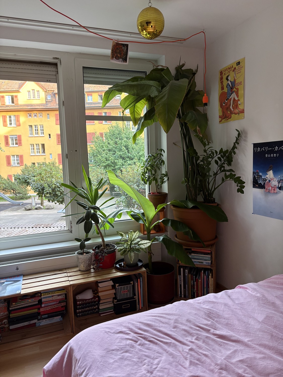 Chambre en colocation