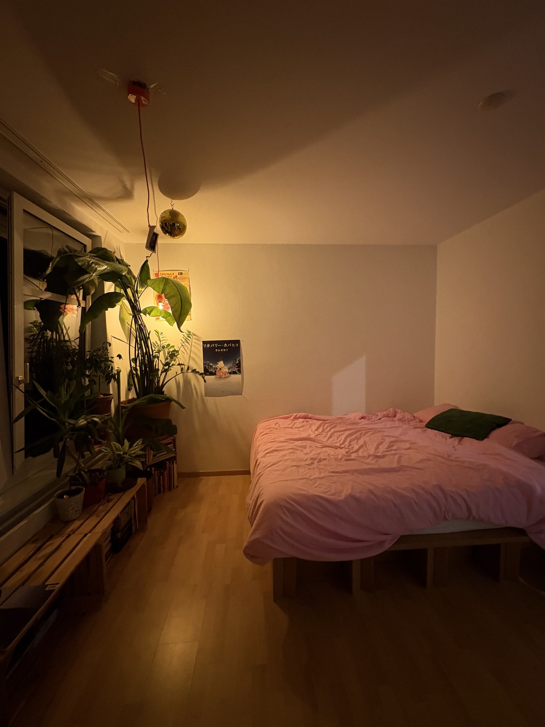 Chambre en colocation