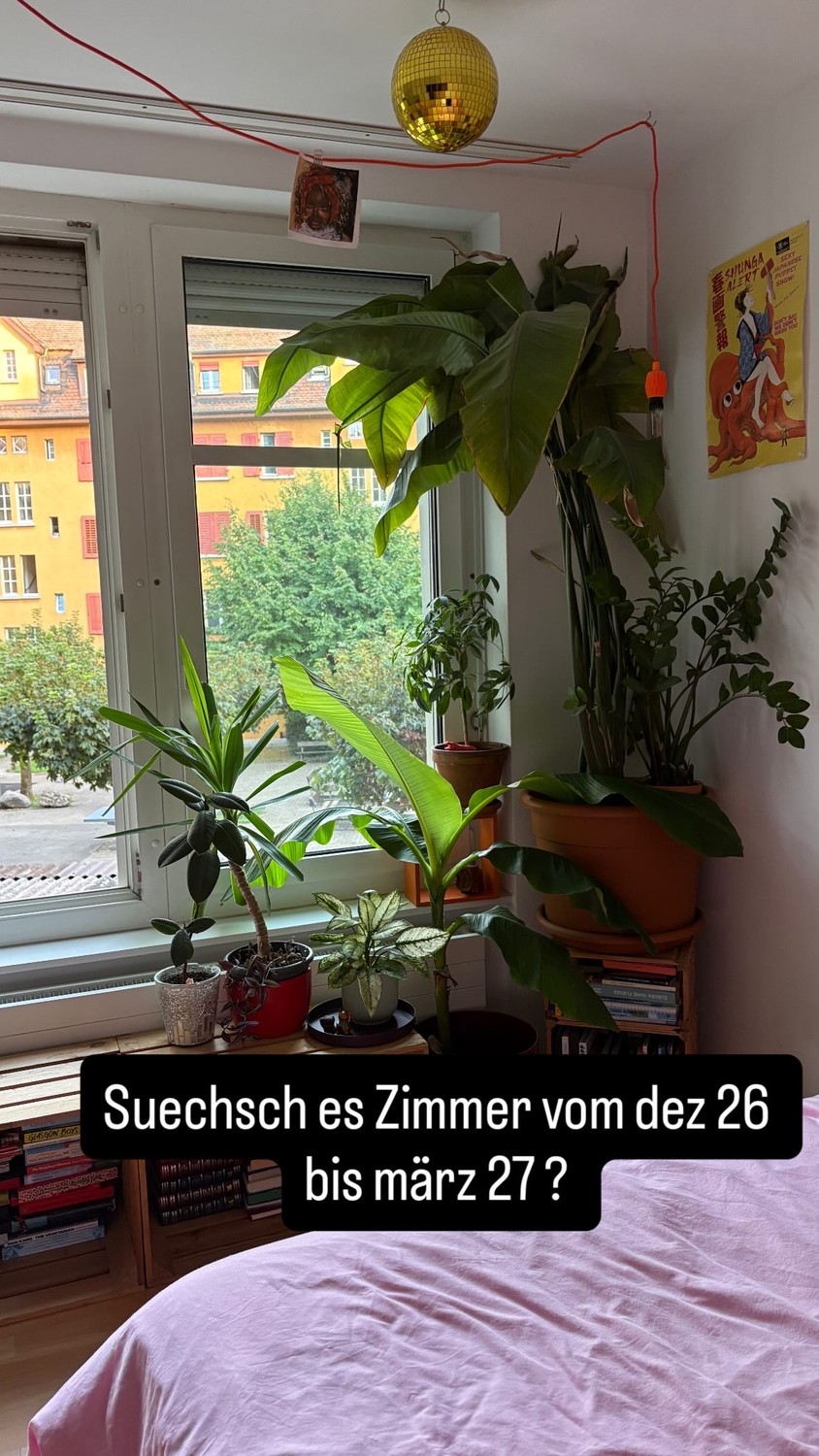 Chambre en colocation