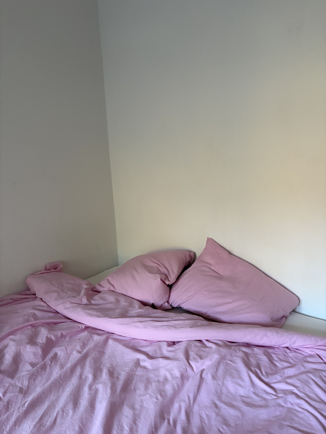 Chambre en colocation