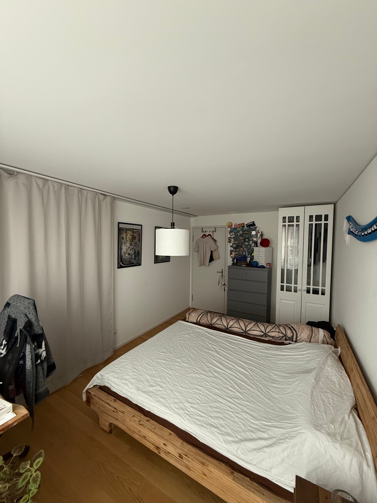Room in a shared flat