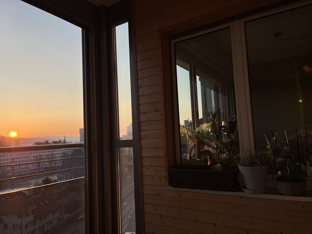 Room in a shared flat