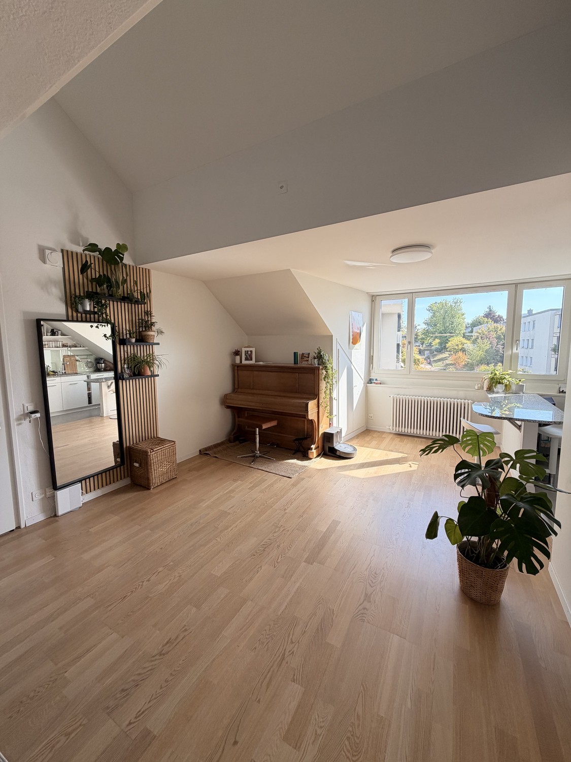 Appartement de 1 ½ pièces