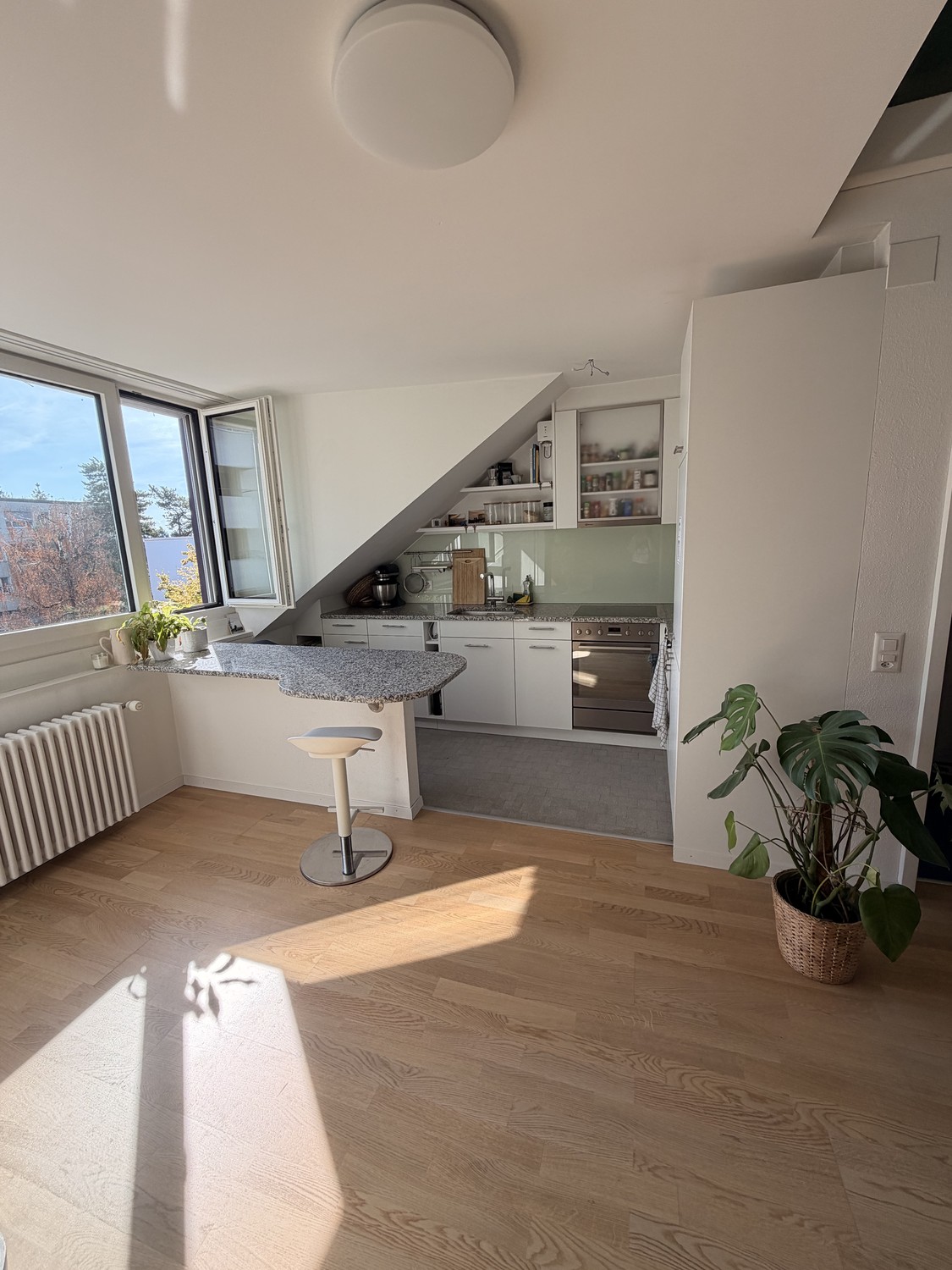 Appartement de 1 ½ pièces