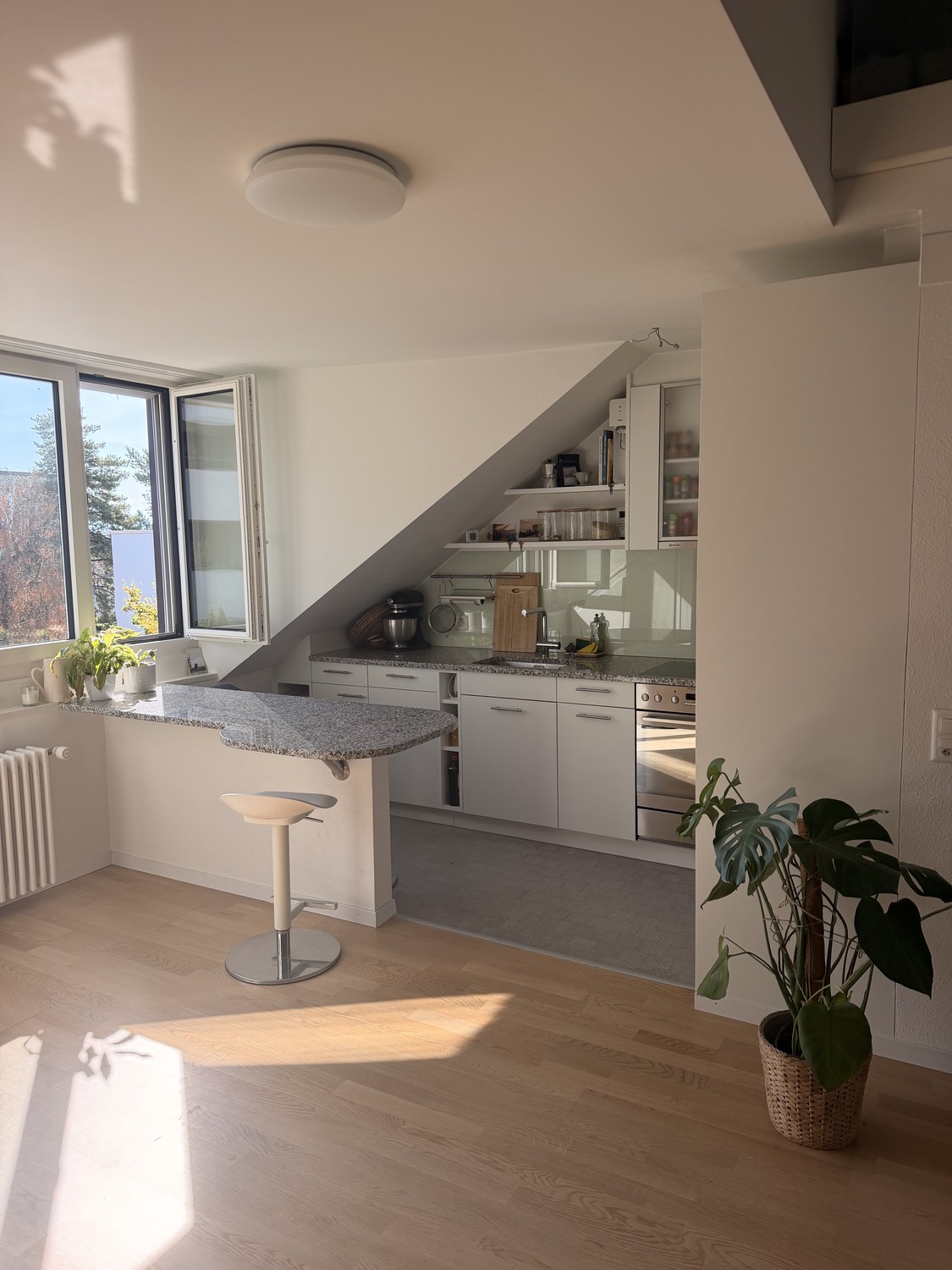 Appartement de 1 ½ pièces