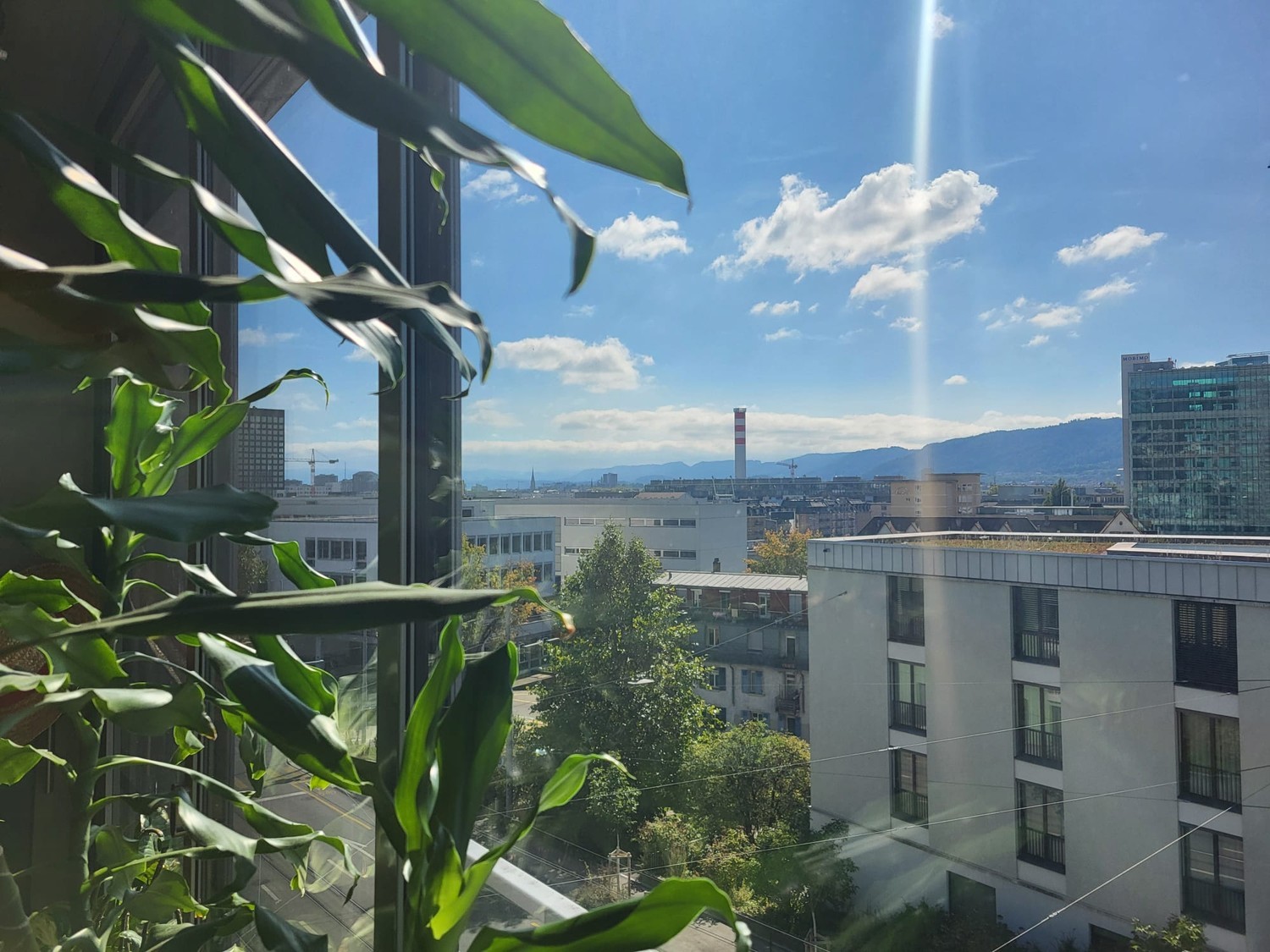 2 ½ Zimmer Wohnung