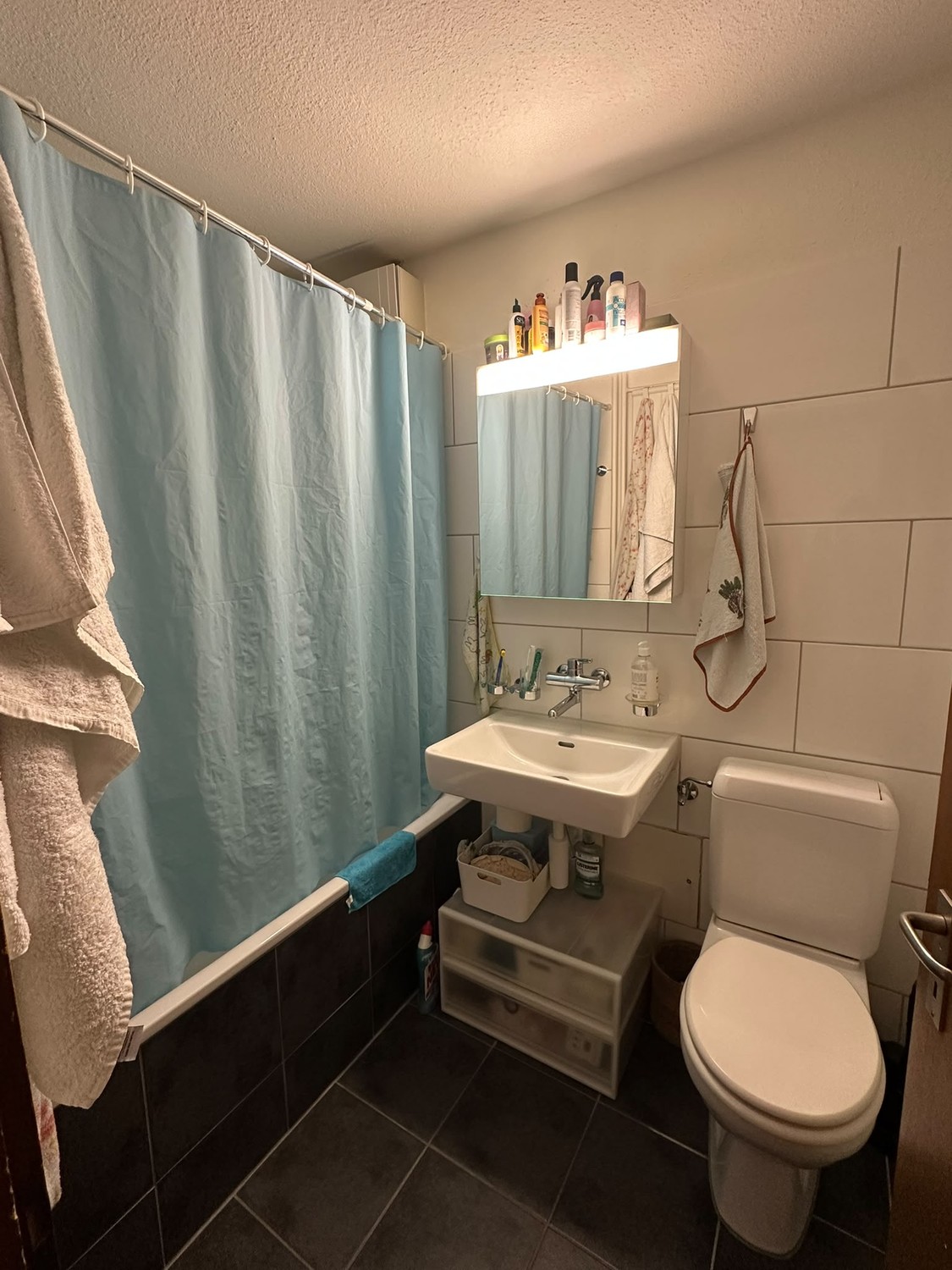 Appartement de 2 ½ pièces