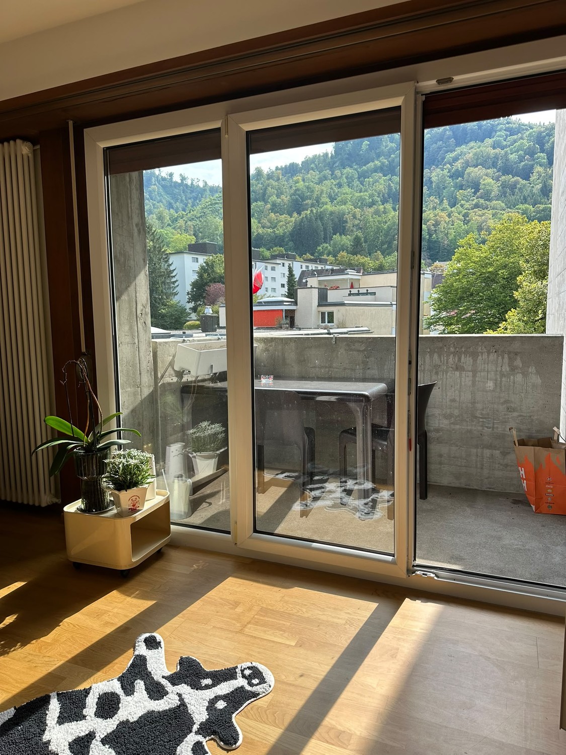 Appartement de 2 ½ pièces
