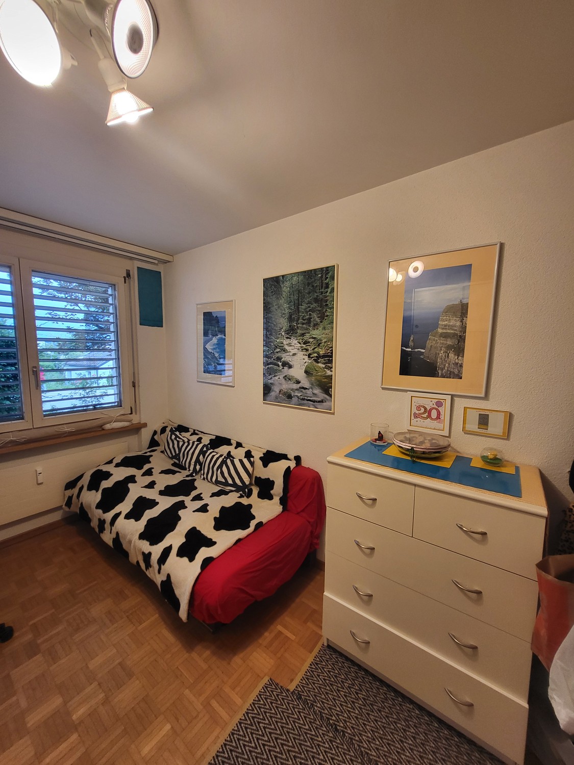 Room in a shared flat