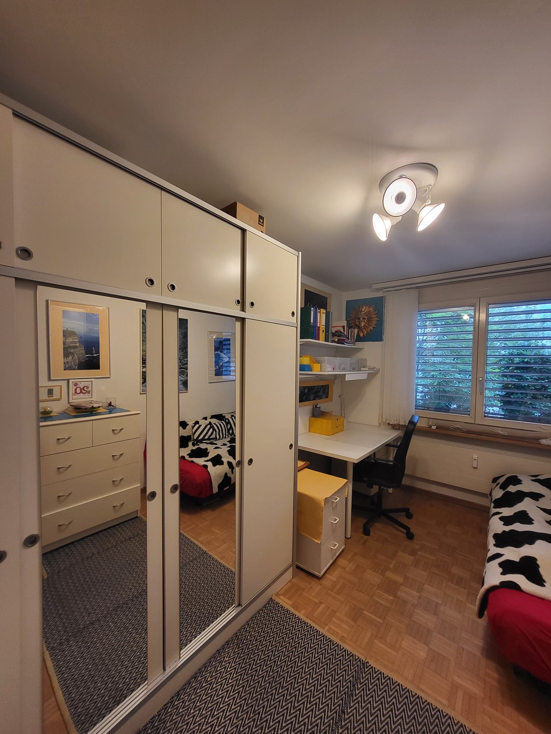 Room in a shared flat