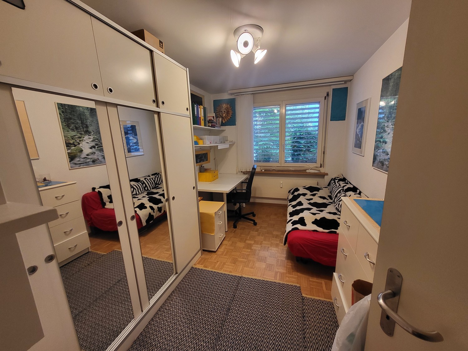 Room in a shared flat