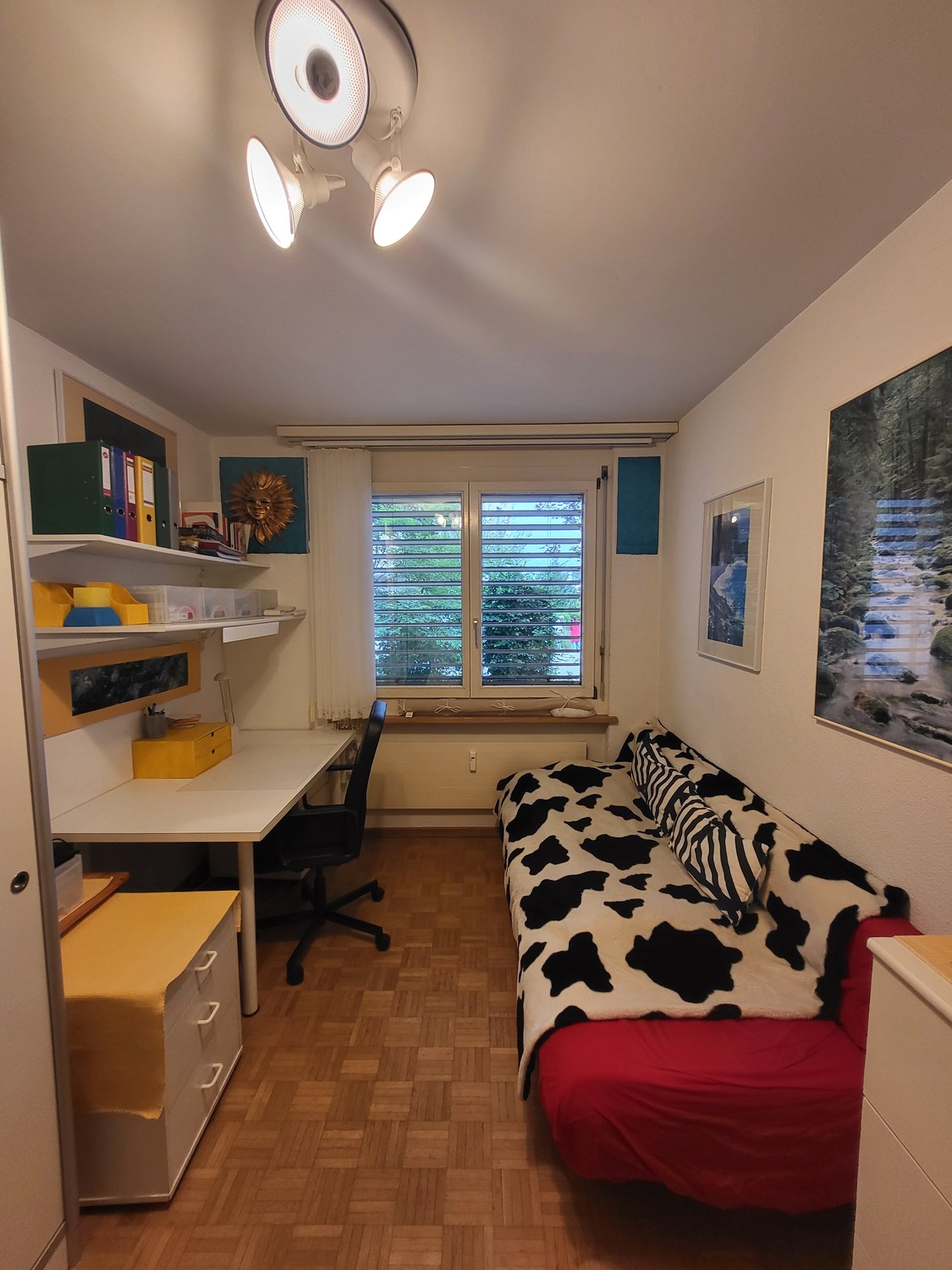 Room in a shared flat