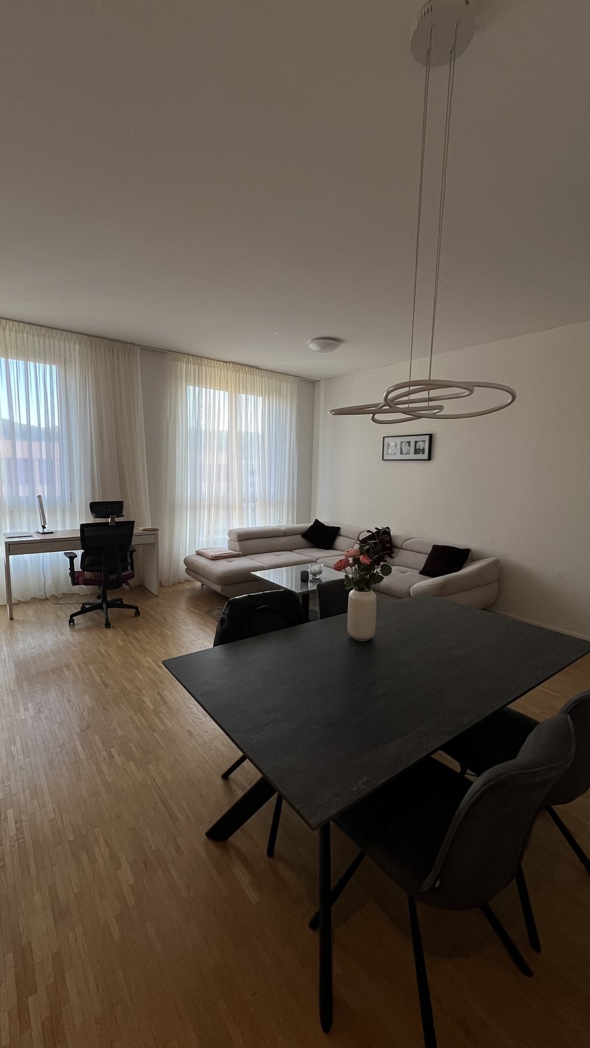 Appartamento di 2 ½ locali