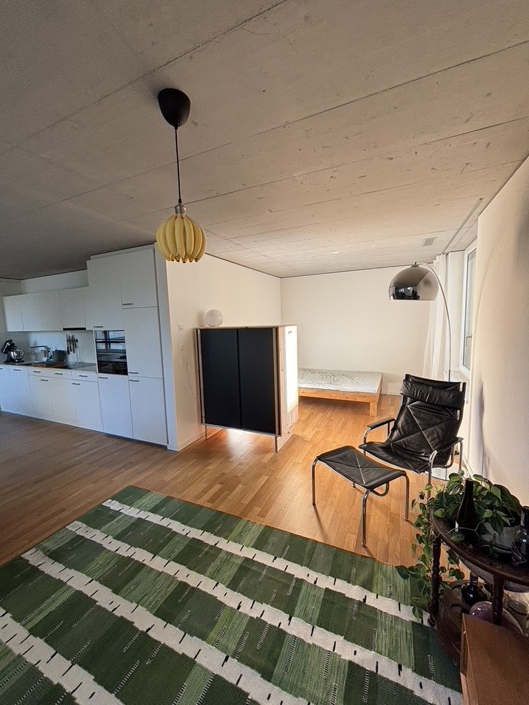 1 room apartment