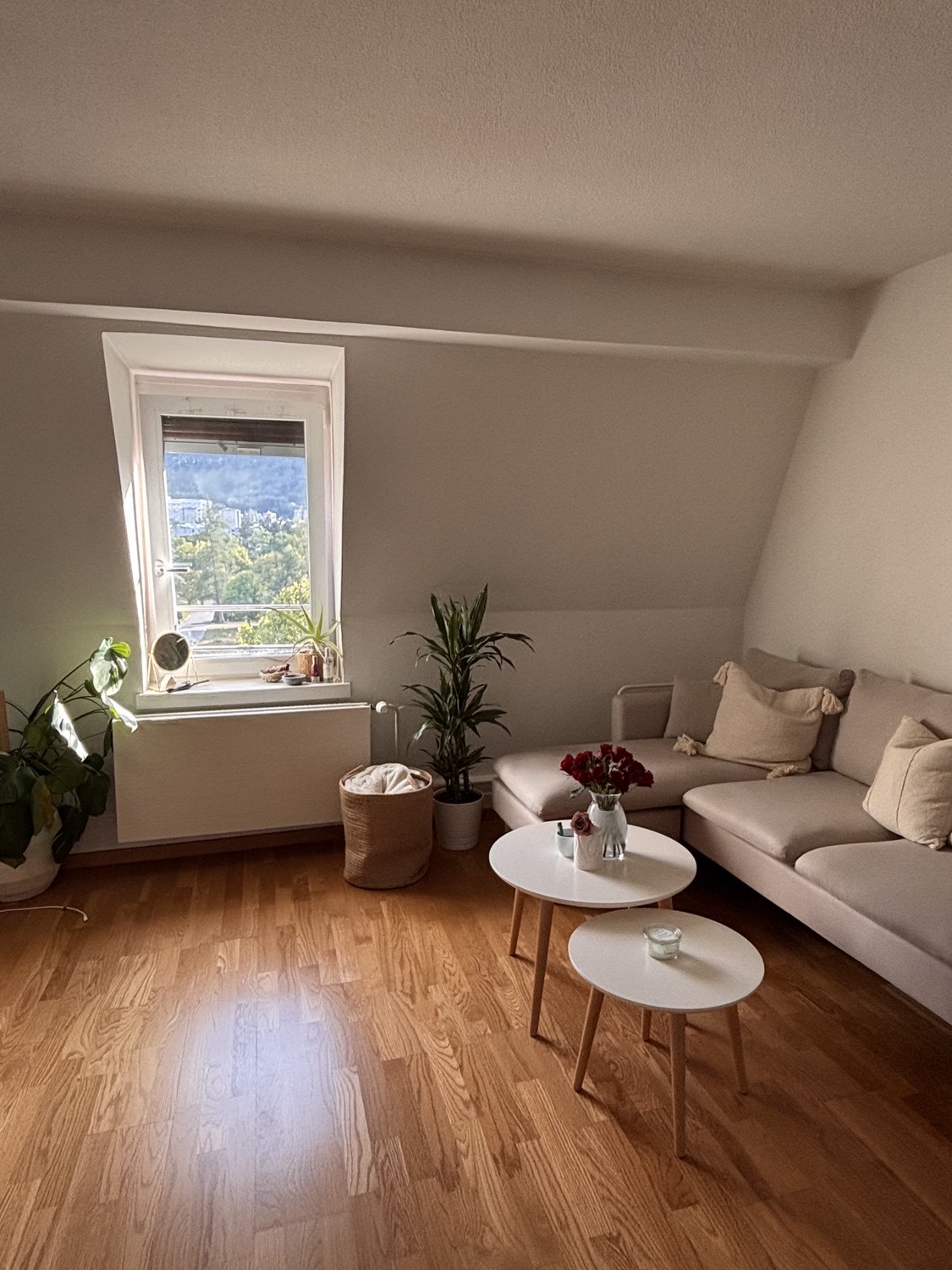 Room in a shared flat