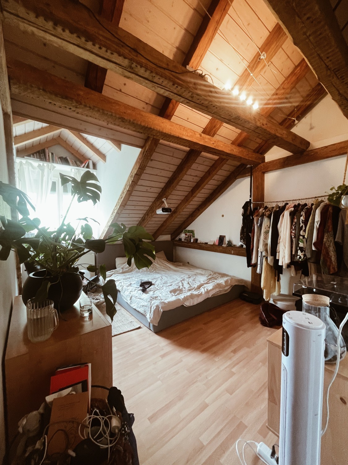 Chambre dans une colocation