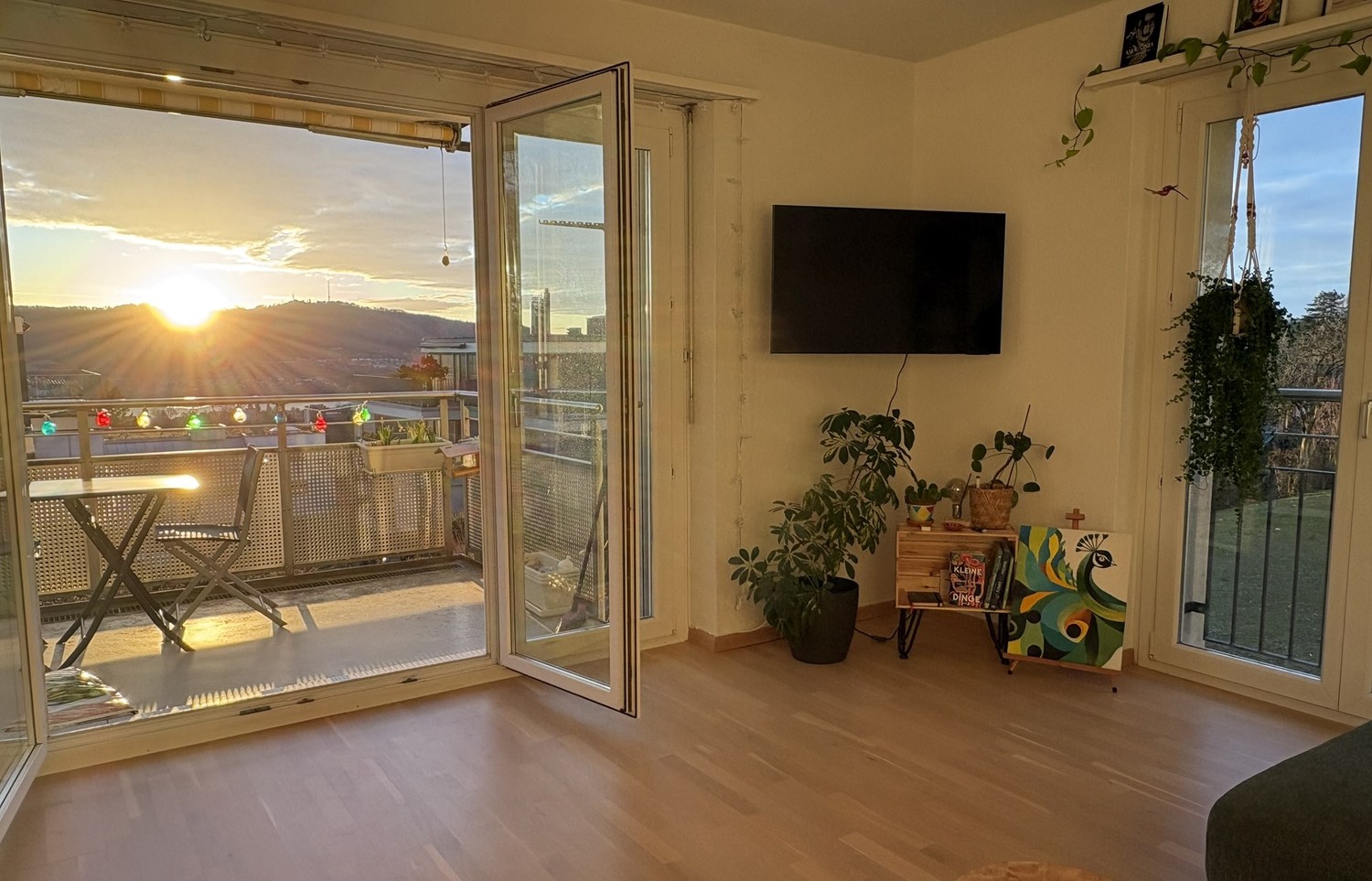 Room in a shared flat