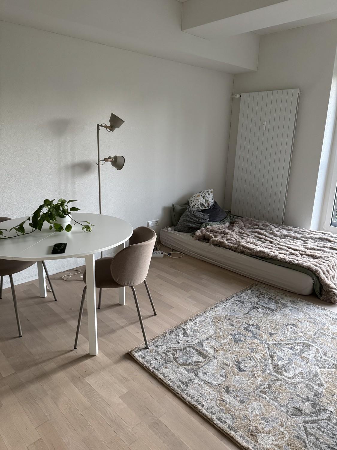 Appartement d'une pièce
