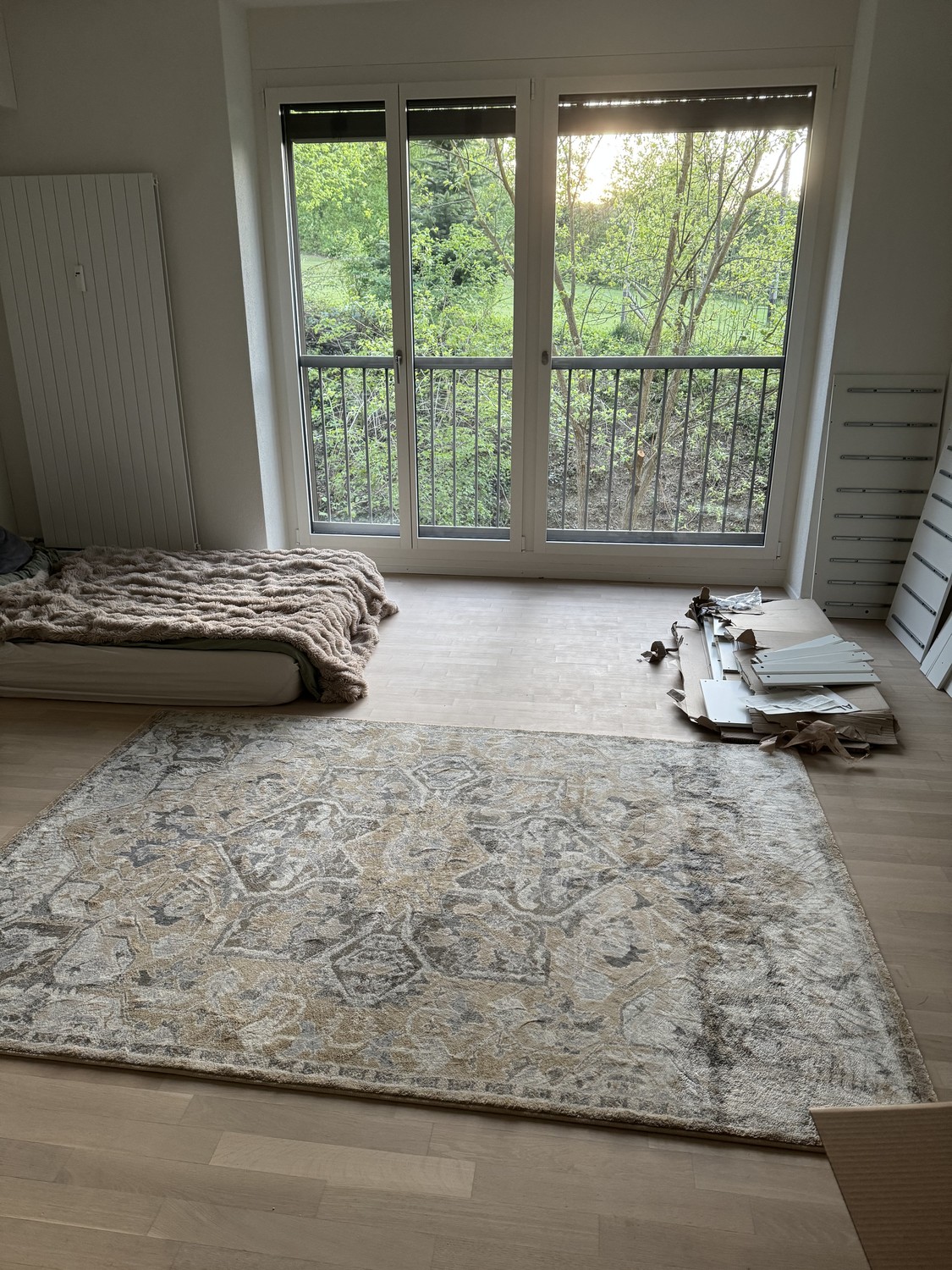Appartement d'une pièce