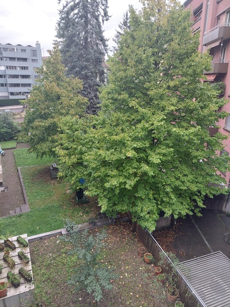 3 ½ rooms apartment (7)