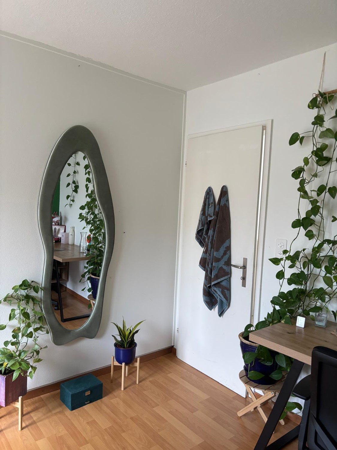 Chambre en colocation