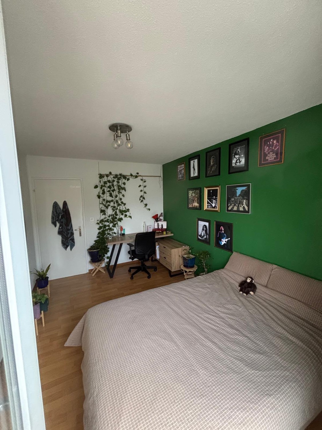 Chambre en colocation