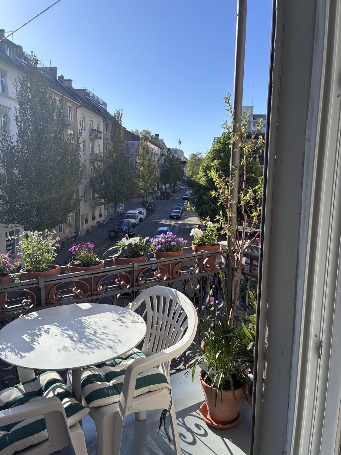 3 Zimmer Wohnung