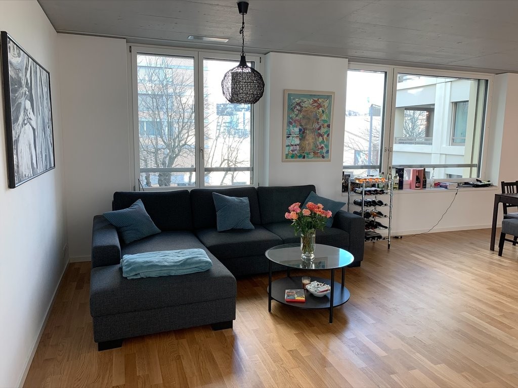 loft 1 pièce
