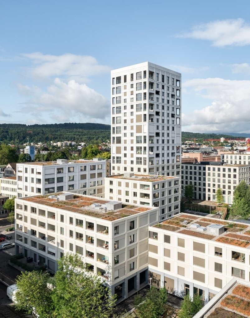 loft 1 pièce