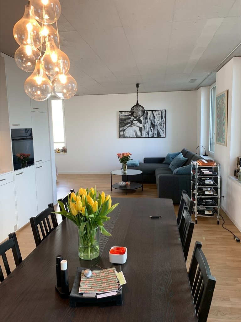 loft 1 pièce