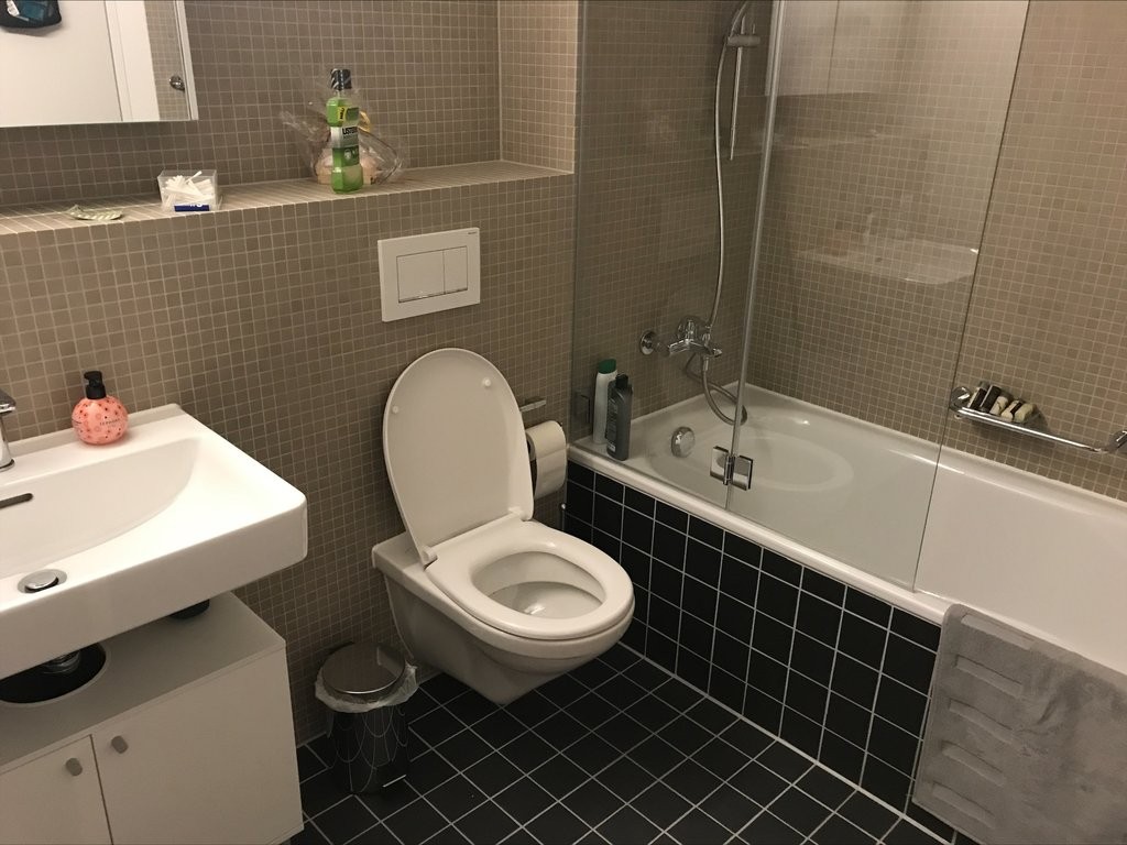 loft 1 pièce