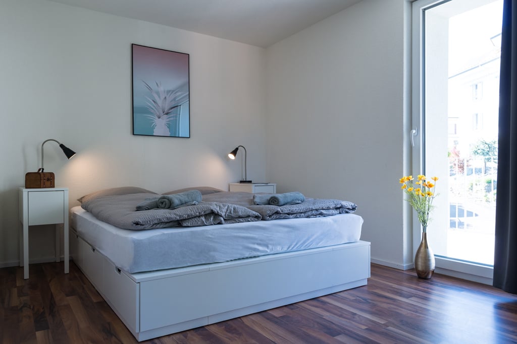 Appartamento arredato di 2 ½ locali