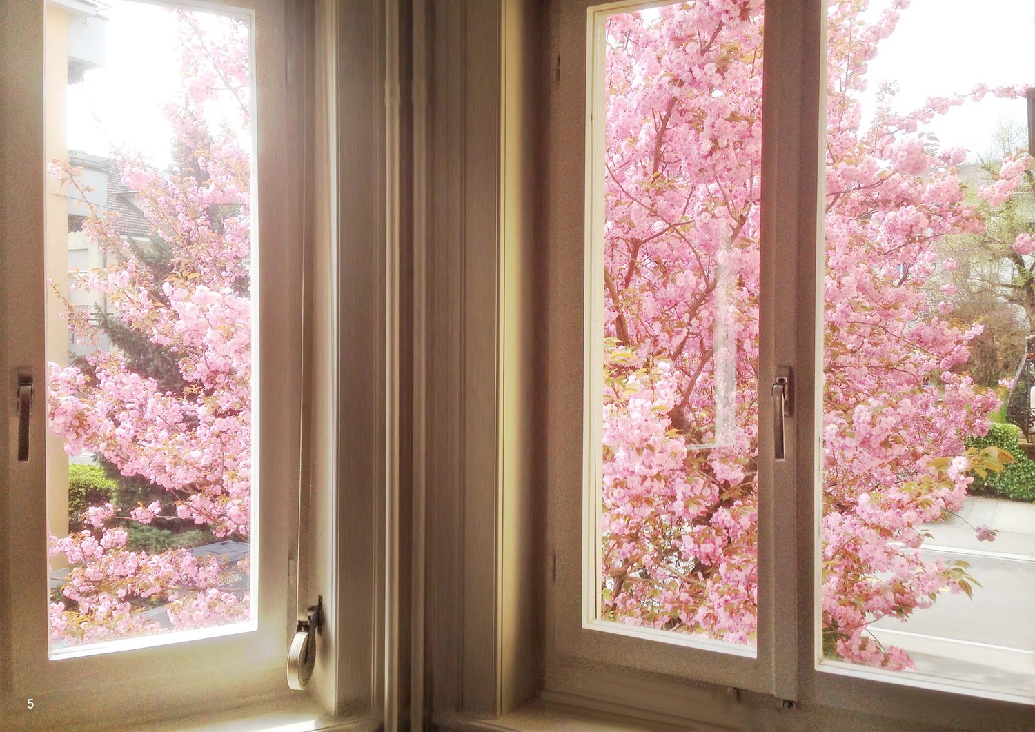 4 ½ rooms apartment