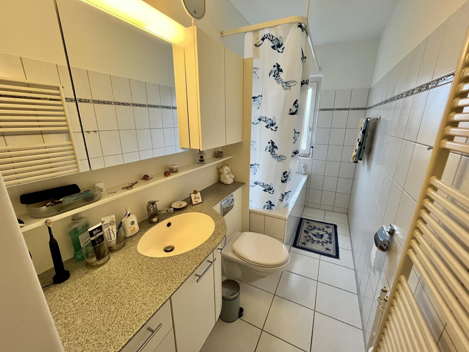 Appartement de 3 ½ pièces
