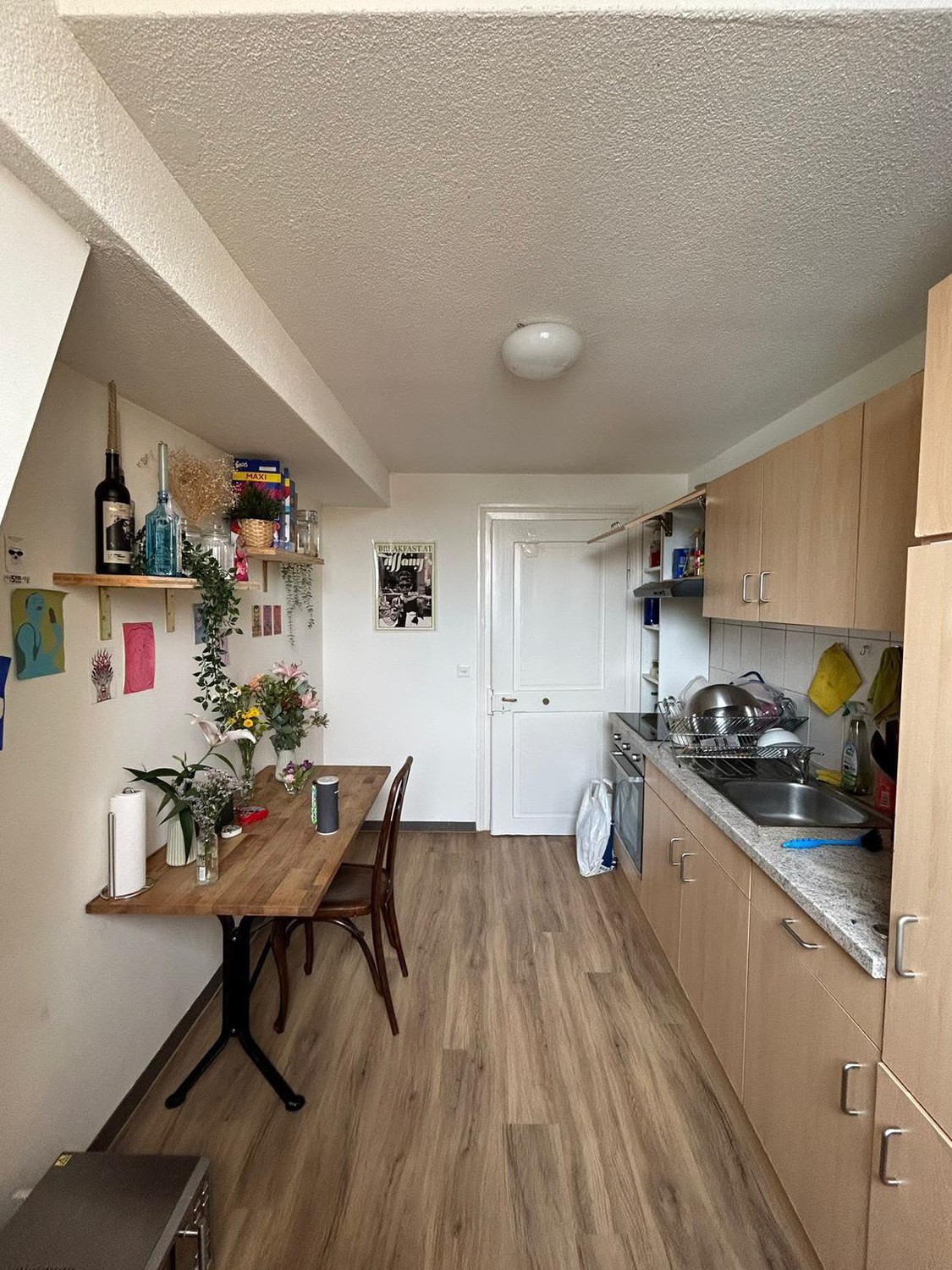 Room in a shared flat