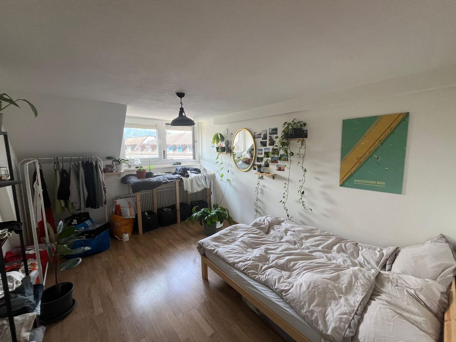 Room in a shared flat
