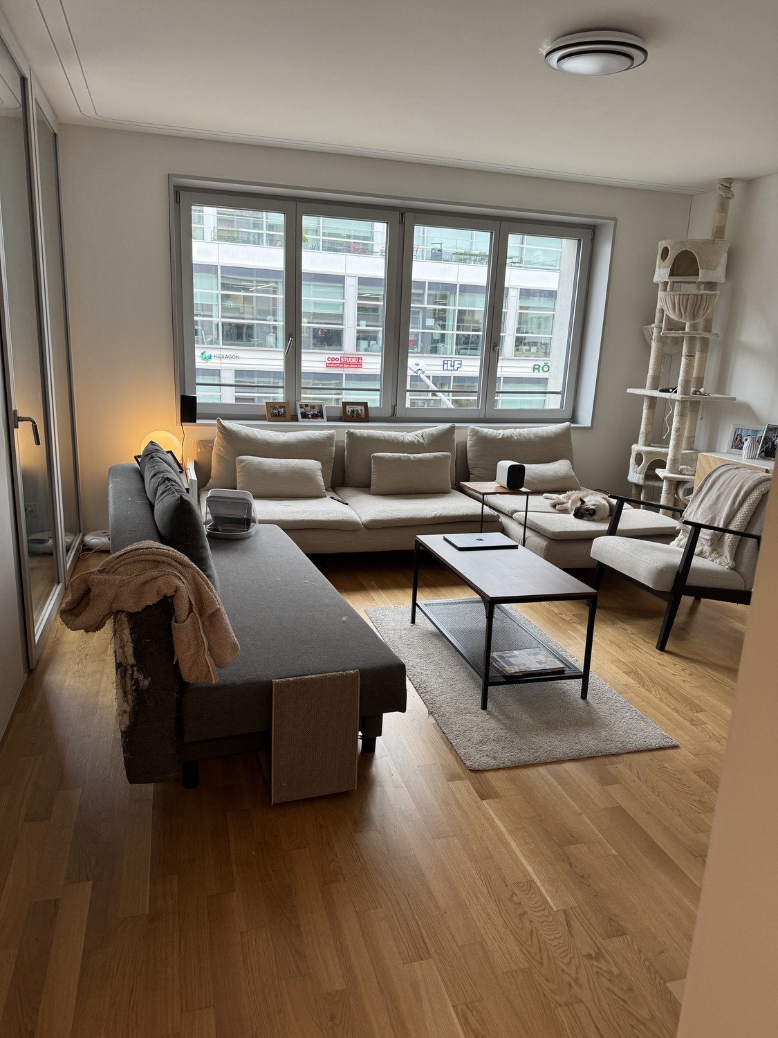 2 ½ rooms apartment, Foto 9 von 9