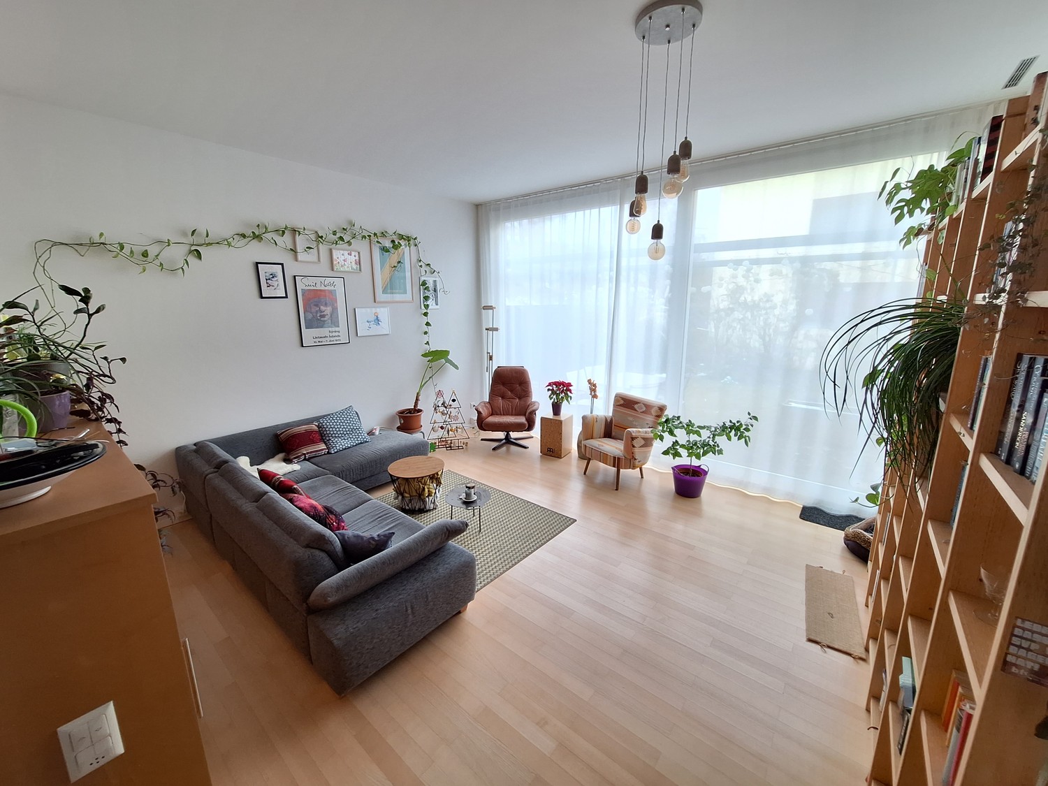 Room in a shared flat