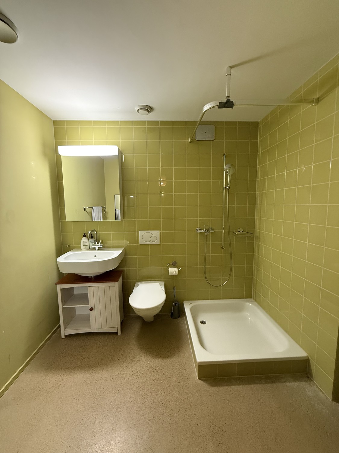 Appartement de 1 ½ pièce