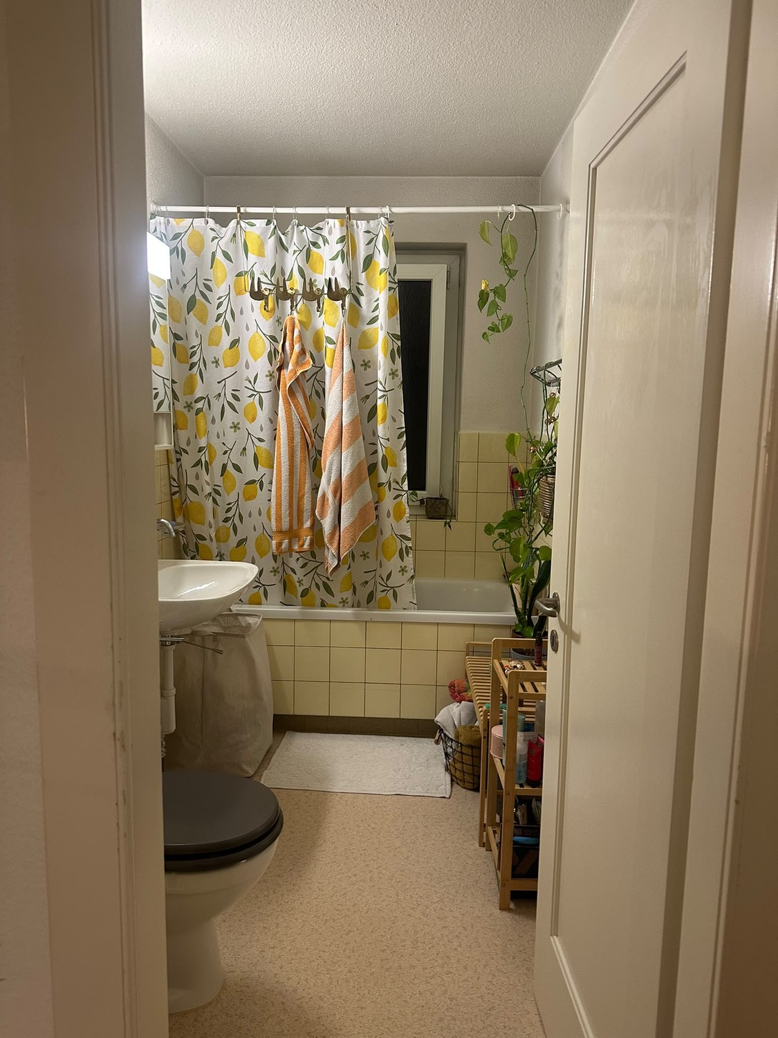 Room in a shared flat