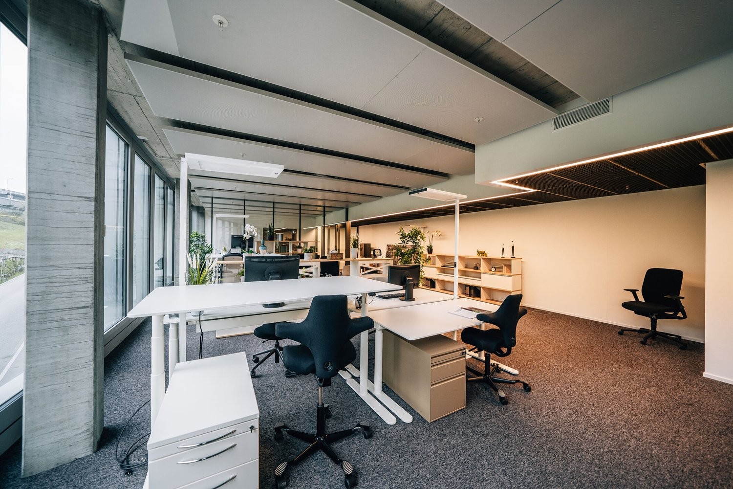460m² commercial, photo 3 of 5