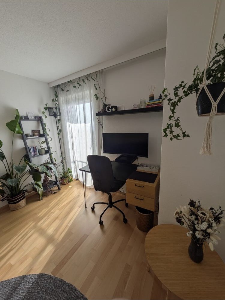 Chambre en colocation