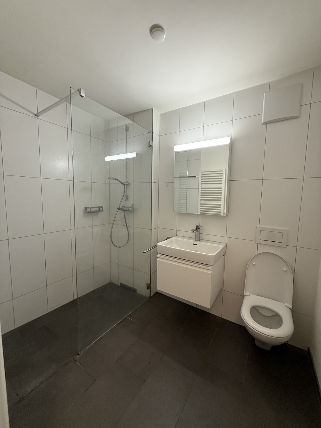 Appartement de 2 ½ pièces, photo 7 sur 10