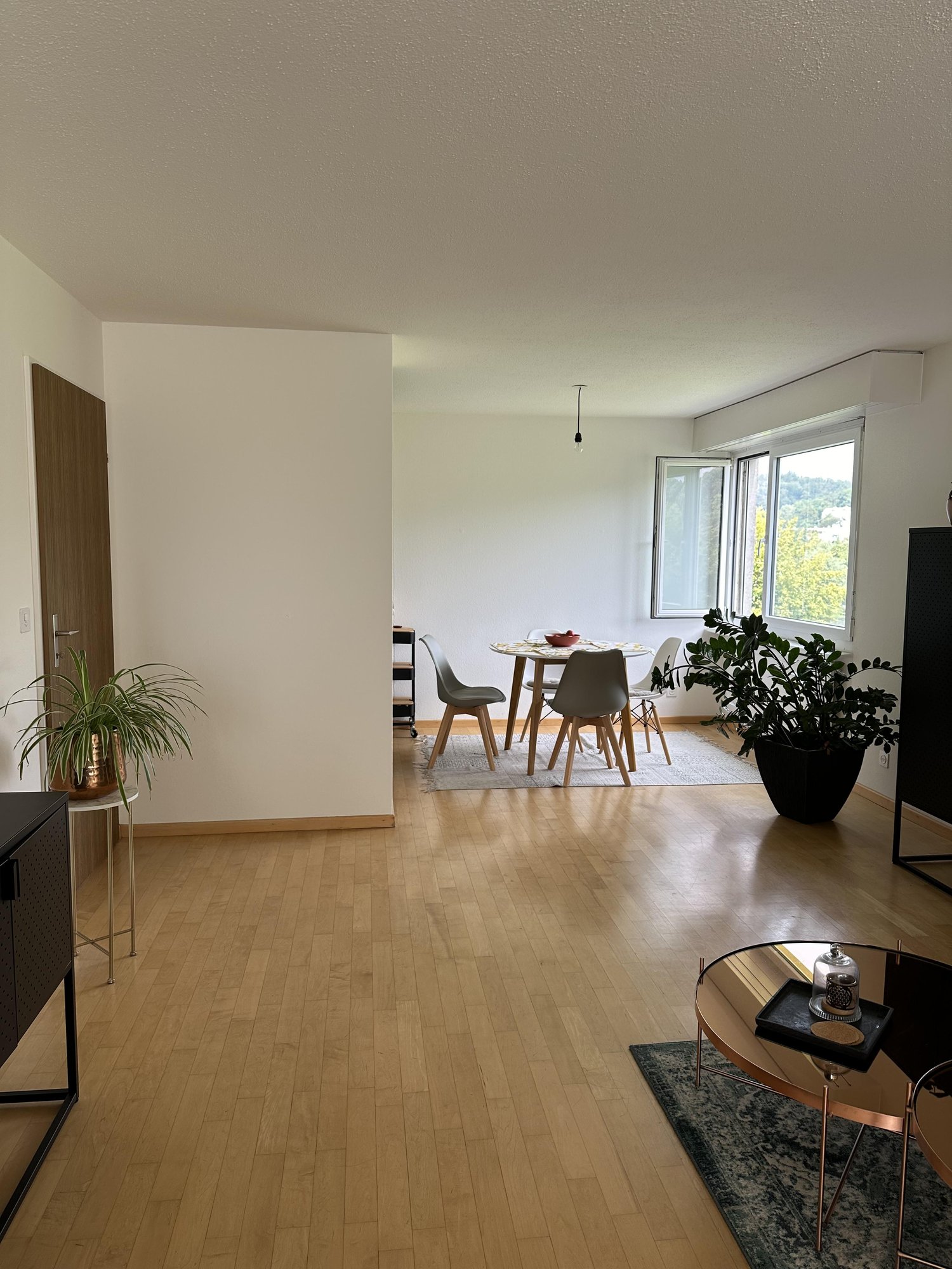 2 ½ rooms apartment