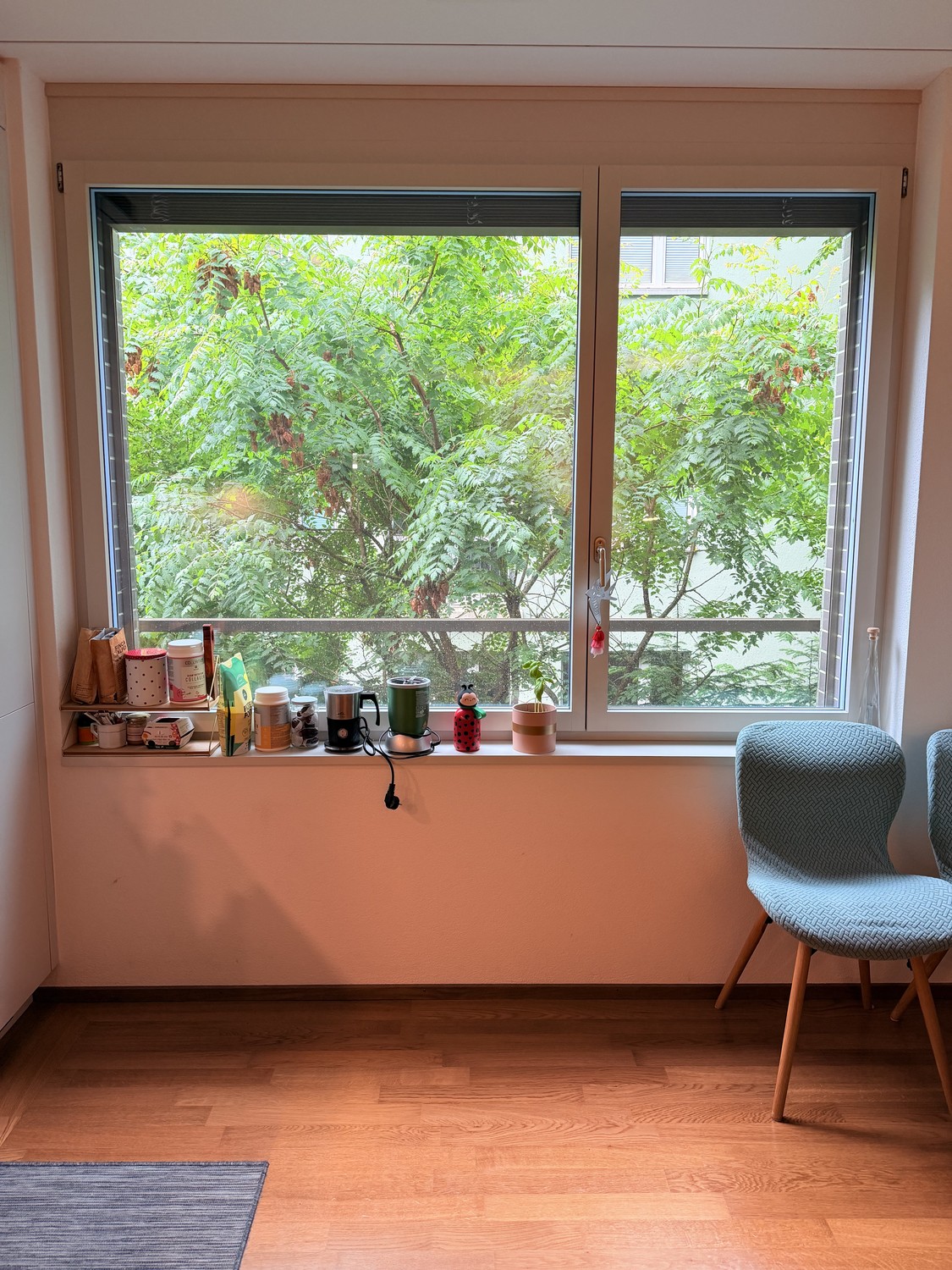 Room in a shared flat