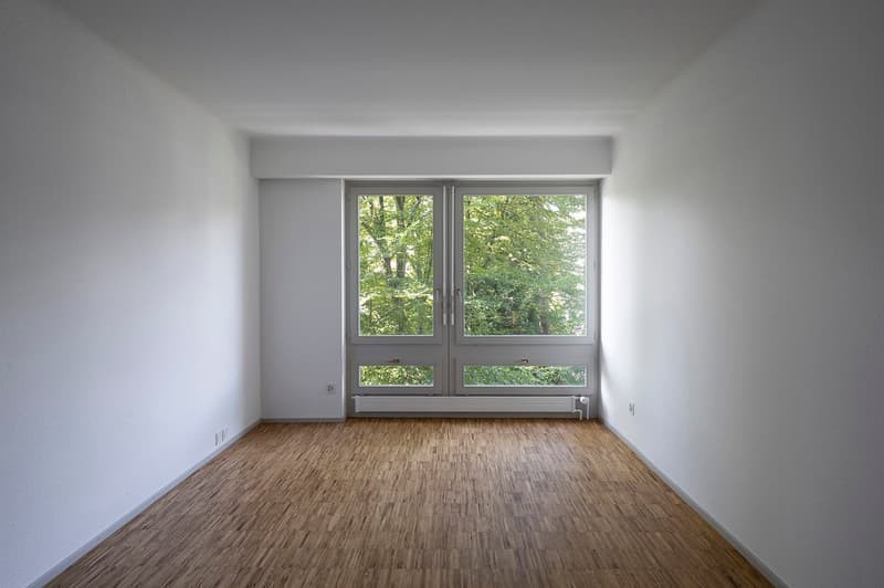 3 ½ locali